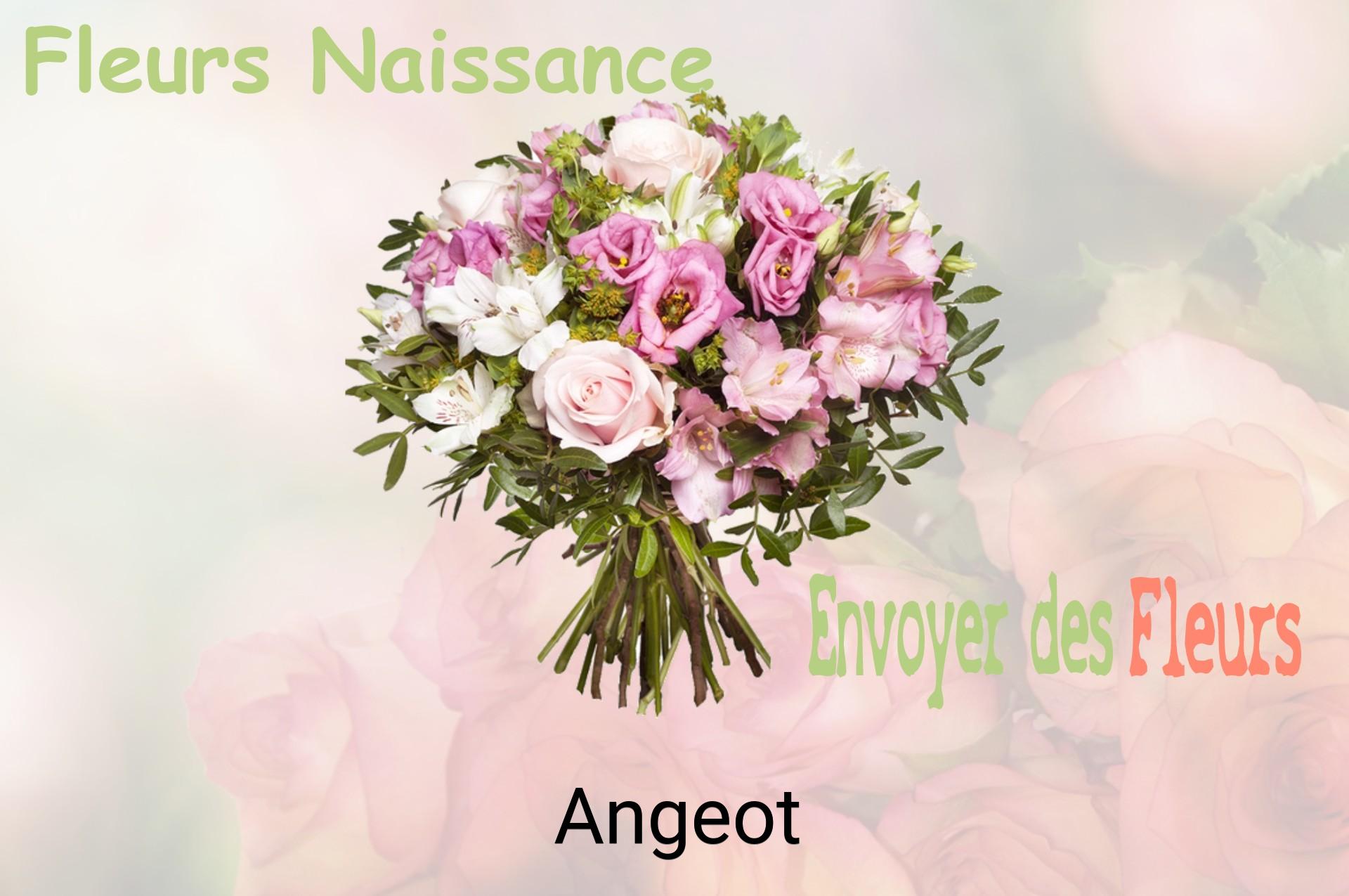 Bouquet de fleurs de naissance livré à Angeot
